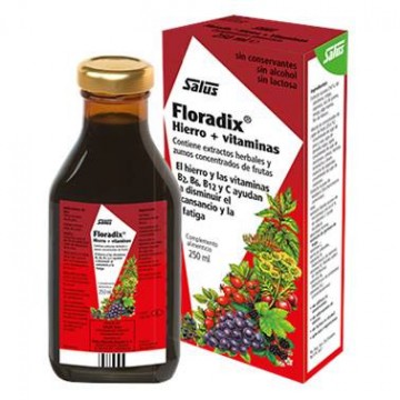 Floradix Hierro Vitaminas 250ml Salus