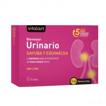 Vitalart bienestar Urinario 10 Sobres Vitalart