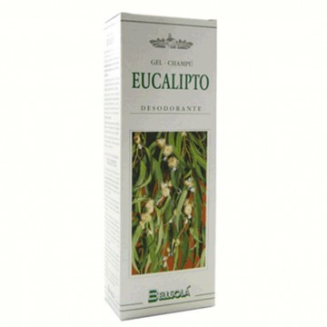 Champu Eucalipto 250ml Bellsola