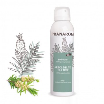 Hidrolato Arbol del Te Bio 150ml Pranarom