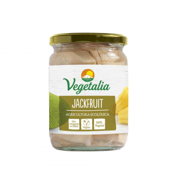 JACKFRUIT ECOLOGICO BOTE VIDRIO 500 GR