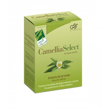 Camellia Select Extracto Te Verde 60caps 100 % Natural