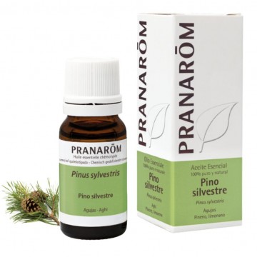 Esencia Pino Silvestre 10ml Pranarom