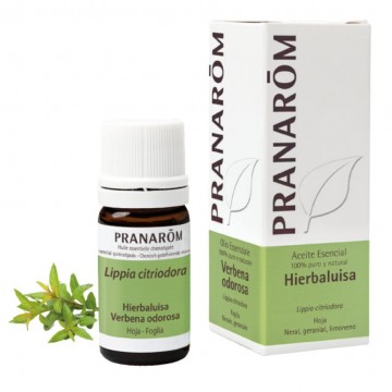 Esencia Hierbaluisa 5ml Pranarom