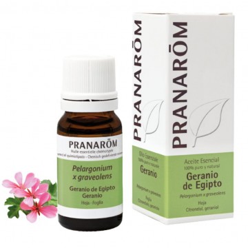 Esencia Geranio Egipto 10ml Pranarom