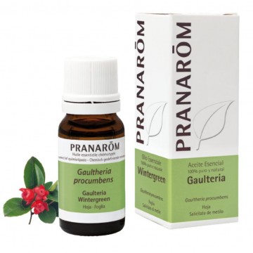 Esencia Gaulteria 10ml Pranarom