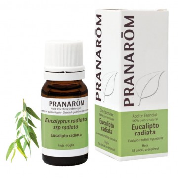 Esencia Eucalipto Radiata 10ml Pranarom