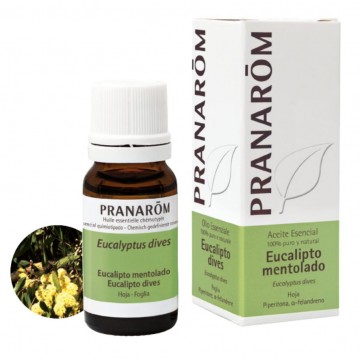 Esencia Eucalipto Mentolado 10ml Pranarom