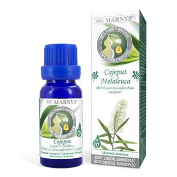 Esencia Cajeput 15ml Marnys