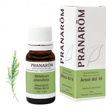 Esencia Arbol Te 10ml Pranarom