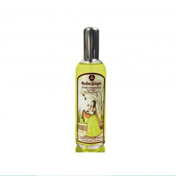 Ambientador Spray Canela Naranja 100ml Radhe Shyam