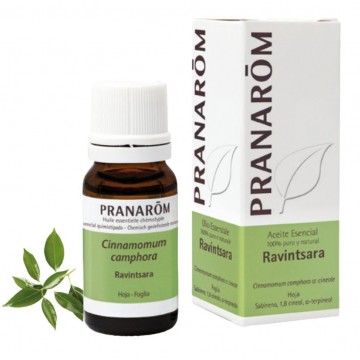 Aceite Esencial Ravintsara 10ml Pranarom