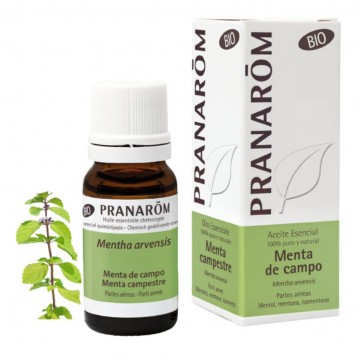 Aceite Esencial Menta del Campo Eco 10ml Pranarom