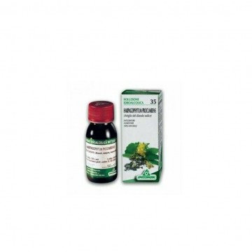 Tintura Madre Harpagofito 50ml Specchiasol