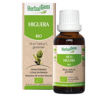 Extracto de Higuera Bio 50ml Herbalgem