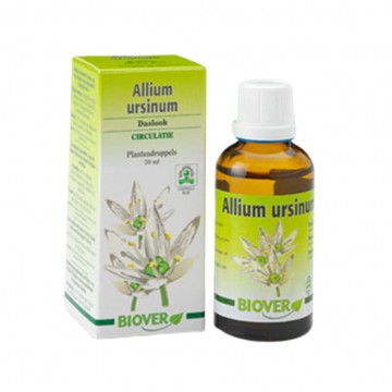 Extracto Ajo Silvestrever Bio 50ml Biover