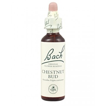 Bach 7 Brote Castaño 20ml Flores de Bach