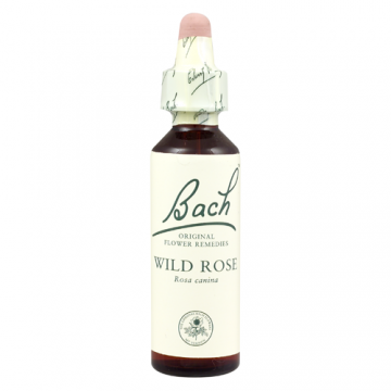 Bach 37 Rosa Silvestre 20ml Flores de Bach