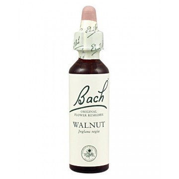 Bach 33 Nogal 20ml Flores de Bach