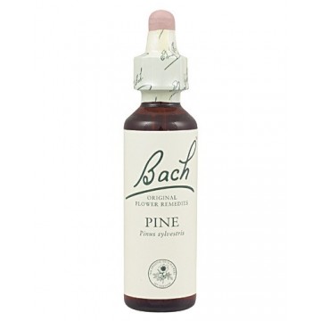 Bach 24 Pino 20ml Flores de Bach