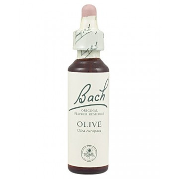 Bach 23 Olivo 20ml Flores de Bach