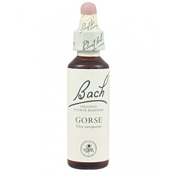 Bach 13 Aulaga 20ml Flores de Bach