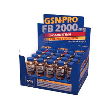 Pro Fb 2000Mg L-Carnitina 20 Vialesx30ml G.S.N.