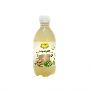 REFRIG TE KOMBUCHA JENGIBRE MENTA BIO 330 ML