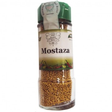 Mostaza Grano Bio 60g Biocop