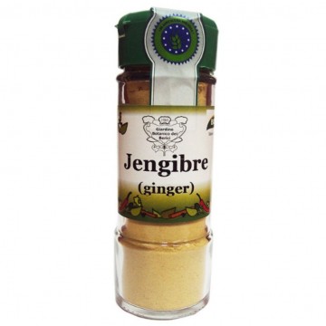 Condimento de Jengibre Polvo Bio 40g Biocop