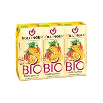 Zumo Multifrutas Bio Vegan 3x200ml Hollinger