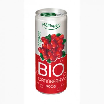 Refresco Arandanos Lata Bio 250ml Hollinger