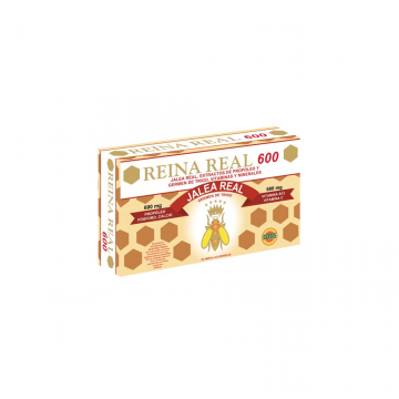 REINA REAL 600 20 AMP 10ML