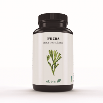 FUCUS 500MG 100 COMP