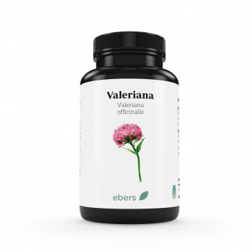 VALERIANA 60 CAPS 500MG
