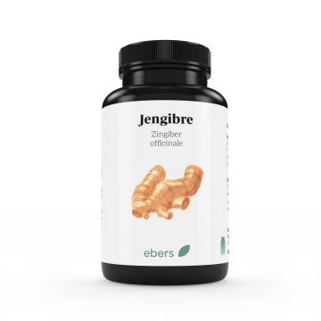 JENGIBRE 50COMP 400MG