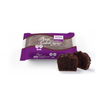 Plum Cake de Cacao y Choco Chips SinGluten 270g Airos