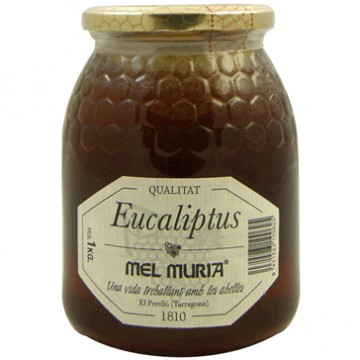 Miel Eucalipto 1kg Muria