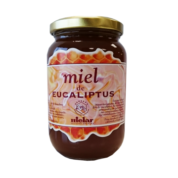 Miel de Eucalipto 500g Arnauda Mielar