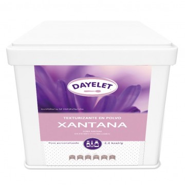 Goma Xantana SinGluten Vegan 500g Dayelet