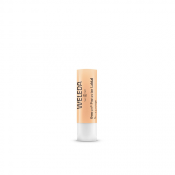 PROTECTOR  LABIAL EVERON 4.8GR.