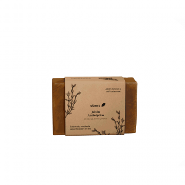 JABON TRATAMIENTO ANTISEPTICO 100GR