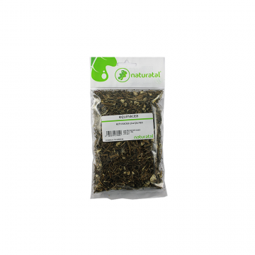 EQUINACEA (Echinacea pupurea) 100GR