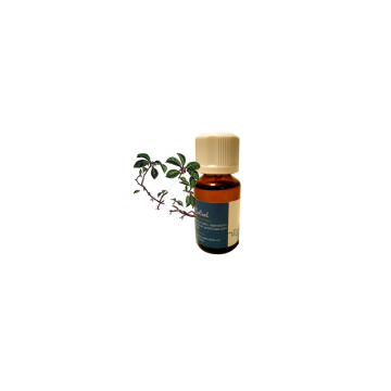 ACEITE ESENCIAL "WINTERGREEN"