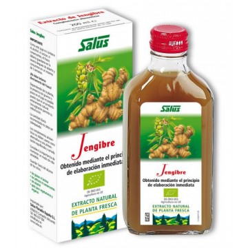 Jugo Jengibre Eco 200ml Salus