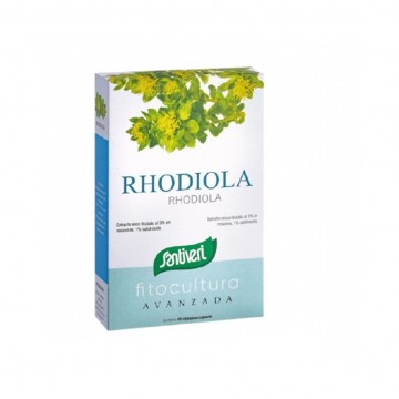 Rhodiola 40caps Santiveri