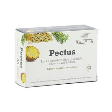 Pectus 30caps Betula