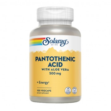 Pantotenic Acid 500Mg 100caps Solaray