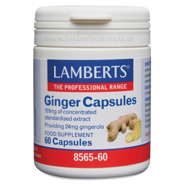 Jengibre 12000Mg 60caps Lamberts