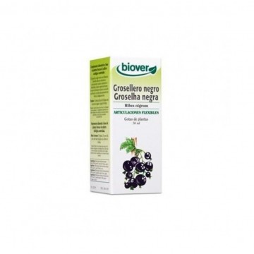 Extracto Grosellero Negro 50ml Biover